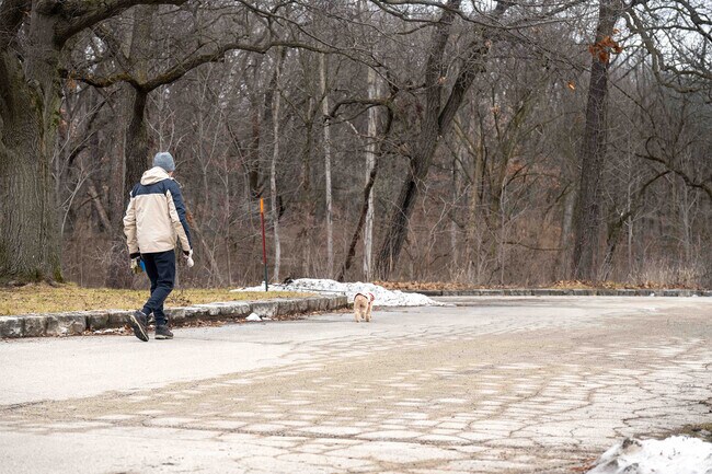 Crooked Creek Woods in Palos Hills is a great place to take a relaxing walk with a pet.
