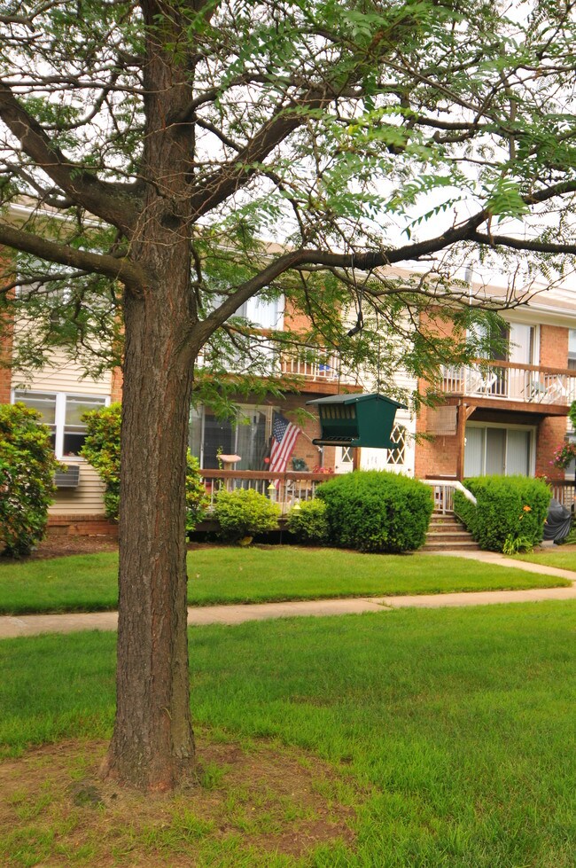 Alexandria at Mansfield Apartments, Hackettstown, NJ 07840 - photo 3