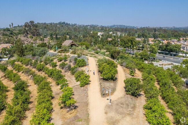 You can enjoy expansive views at the top of Citrus Ranch Park in Tustin Ranch.
