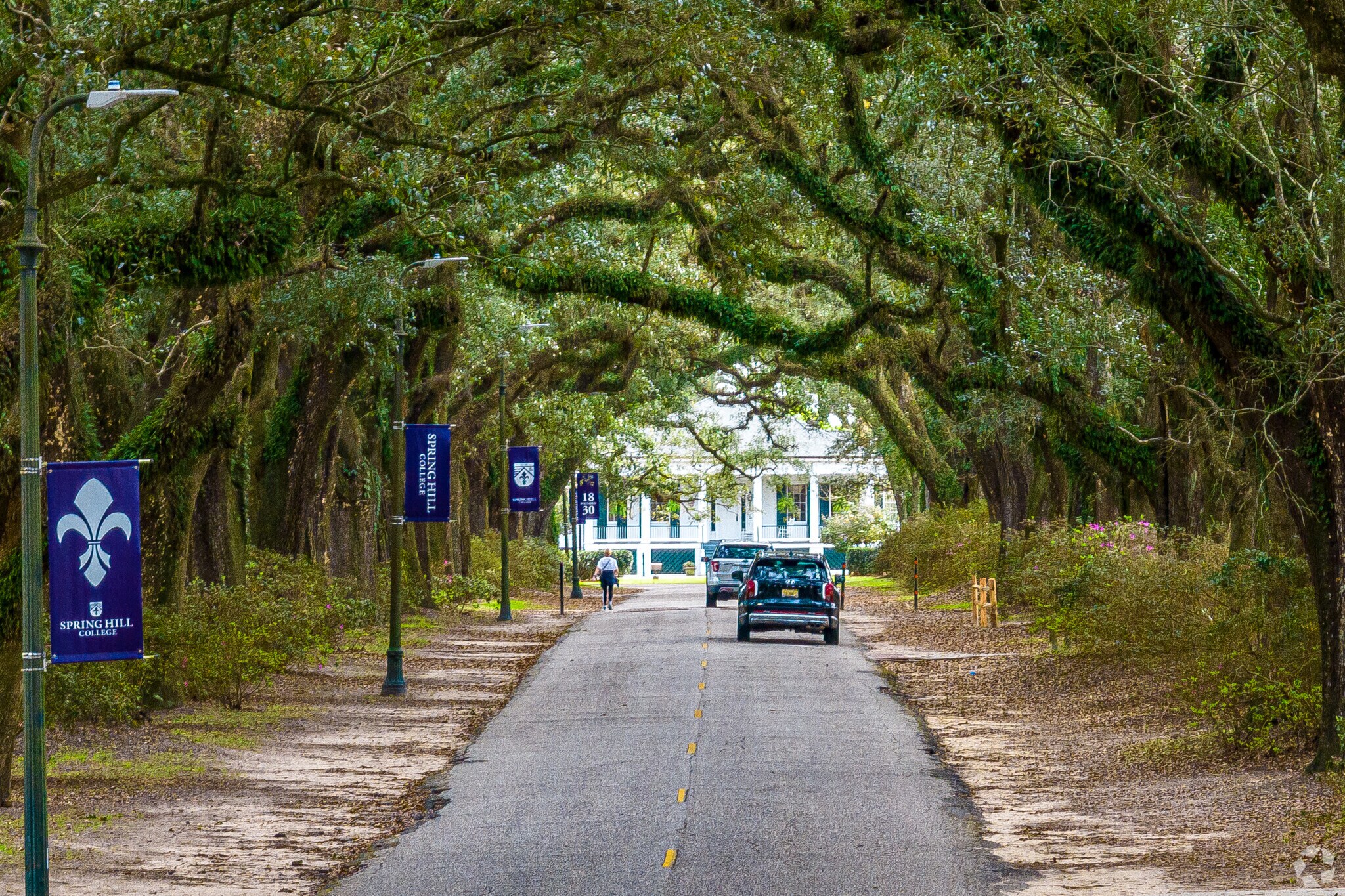 Drive through the Avenue of the Oaks at Spring Hill College in College Park of Mobile, AL.
