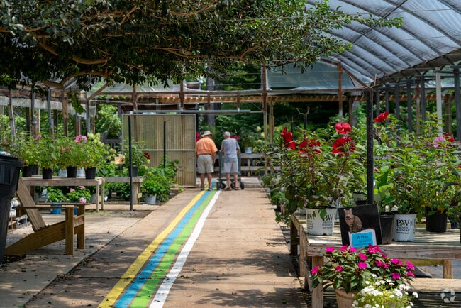 A spacious selection of plants awaits at Bennett Nursery.