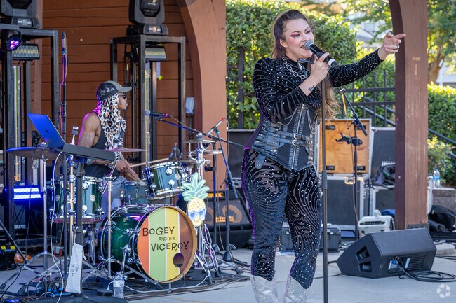 Local artist or featured throughout the year at the summer concert series in Lilburn.