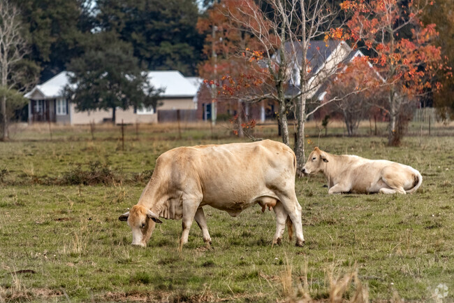 While a lot of Mills North is more urbanized, there are still rural areas with farms.