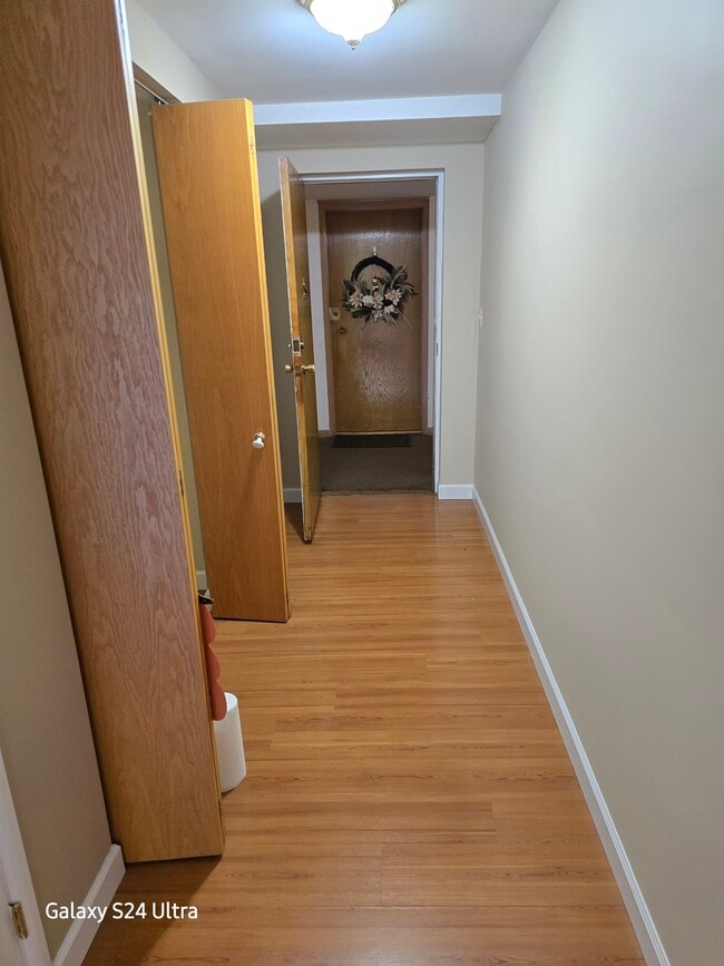 401 S Grove Ave unit 1A, Oak Park, IL 60302 - photo 4