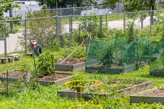 Residents grow fruits and vegetables at the South Cumminsville Community Garden.