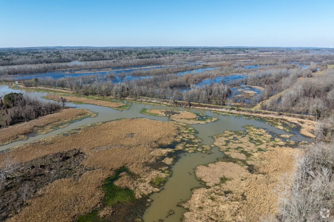 Take a walk and enjoy the beauty of the Eufaula National Wildlife Refuge.