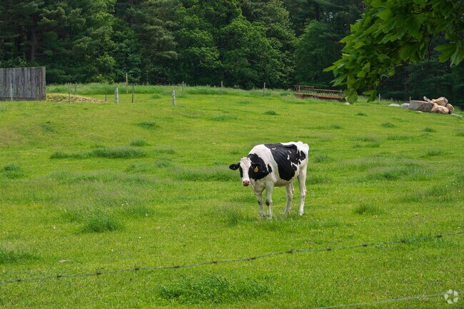 Sutton’s few remaining farms add a touch of rustic charm to the town’s peaceful landscape.