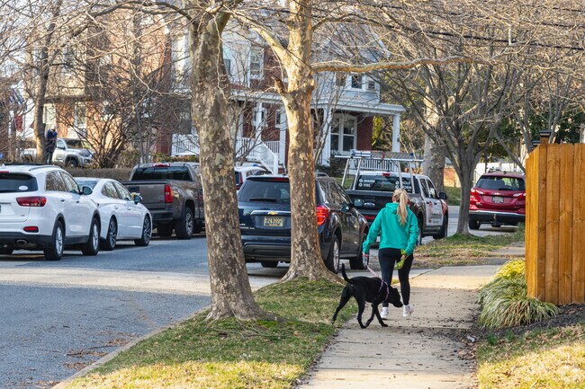 Union Park Gardens locals love to get outside with their dogs for some exercise.