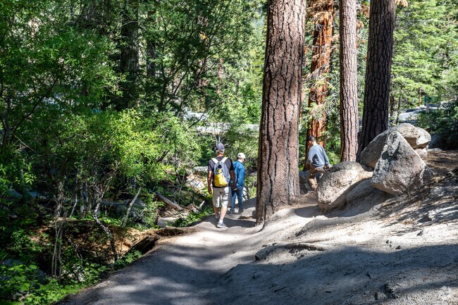 National Forest trails give residents plenty of opportunities to get active in Big Bear Lake.