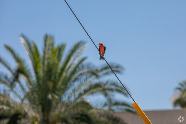 Although more urban, Naylor still gets its fair share of wildlife spottings.