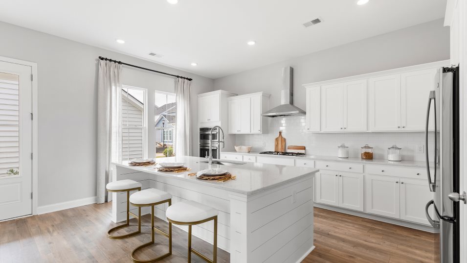 205 Threaded Fern St, Summerville, SC 29485 - photo 1