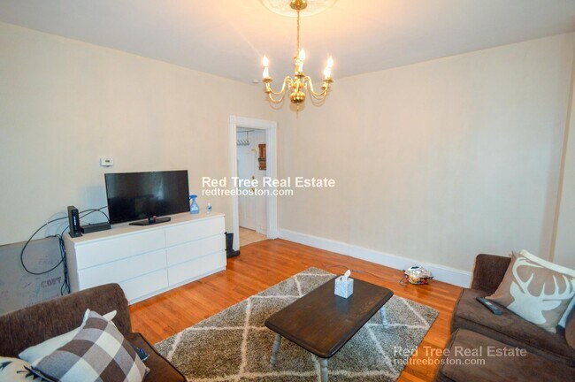 201 Hillside St, Roxbury Crossing, MA 02120 - photo 3