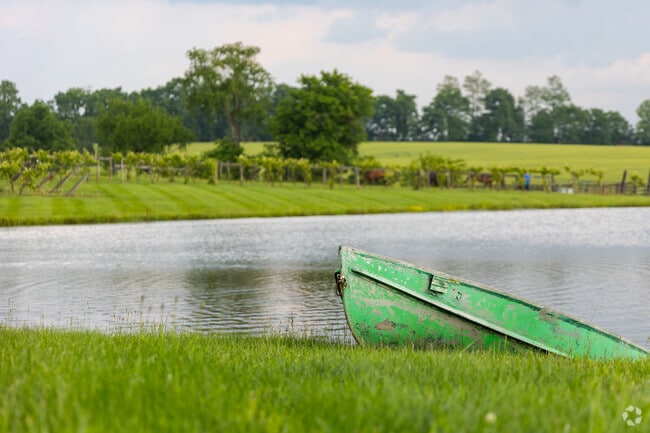 Prodigy Vineyards offers Clifton-McKees Crossroads residents tranquil views of the vineyards, horses, and a fountain.