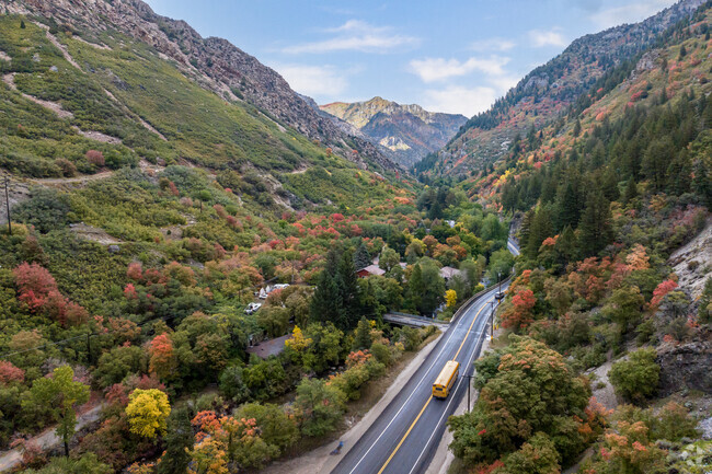 A school bus drives in up the canyon through colorful fall foliage.
