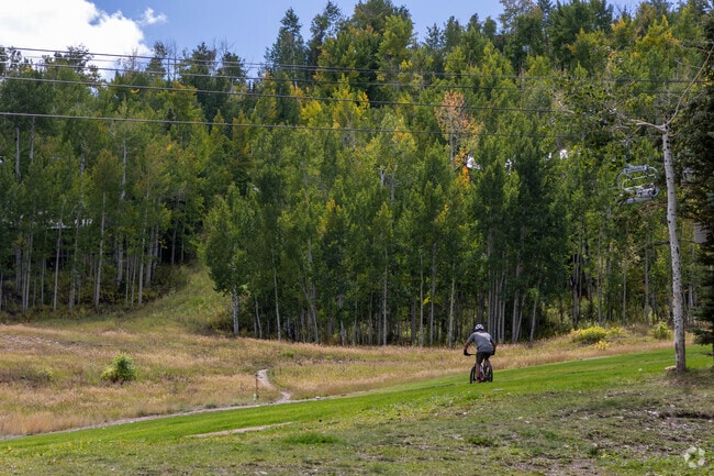 Mountain biking trails wind through forests around Snowmass Village.