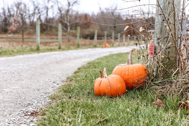 Some fall decorations on display at this Troy farm.