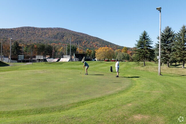 Enjoy a great par 3 course at Tussey's Resort in Harris, PA.