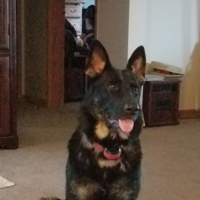 Agent Photo