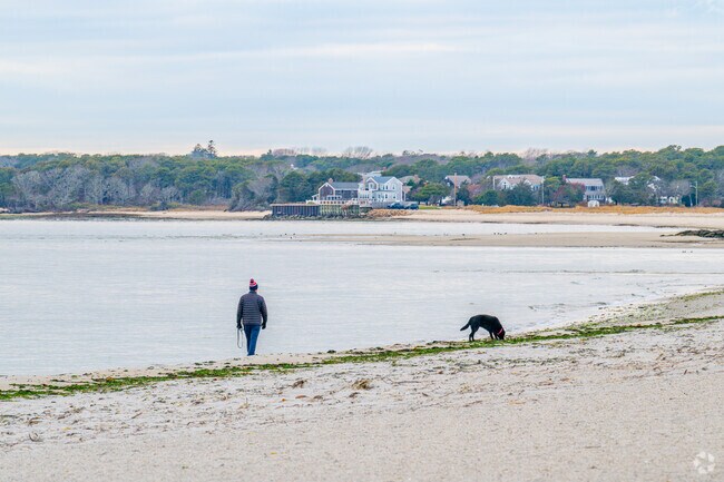 Hardings Beach draws frequent walkers along Nantucket Sound.