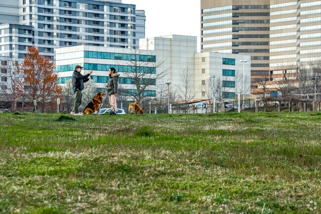Shepherd Park is home to many scenic outdoor locations for residents to enjoy.