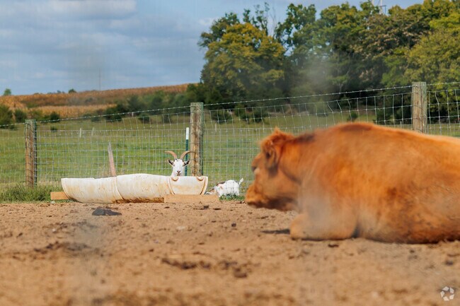 Deliteful Dairy Farms even has an enclosure where customers can meet the animals.