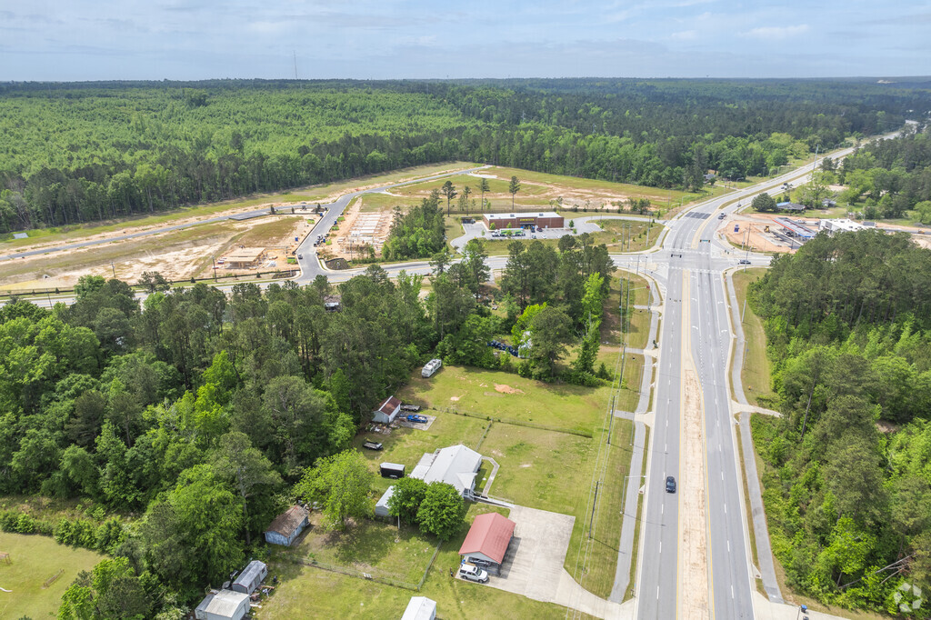 Undisturbed acreage along US Highway 1 offers serene forest views and space for peaceful escapes.