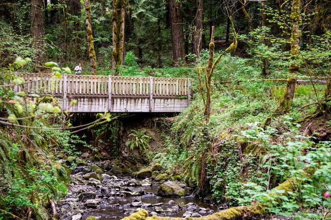 Marshall Park is a proactive and nature-loving neighborhood perfect for walks, runs or bikes.