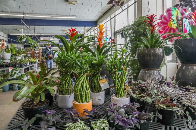 Flowerland is Clyde Park's destination greenhouse and garden center.