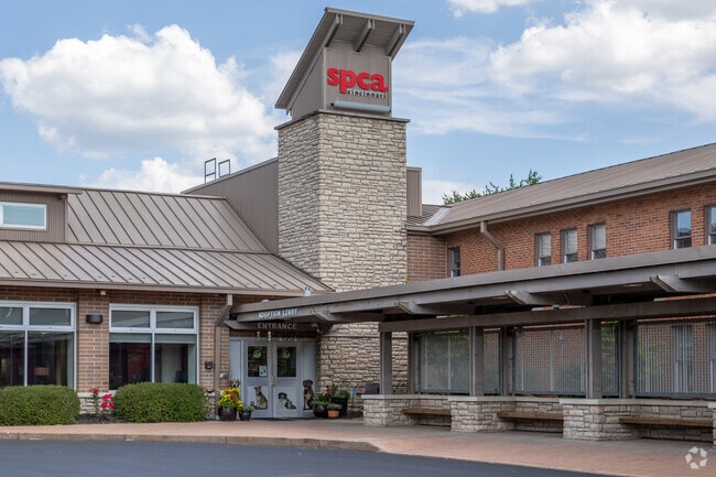 Adopt a furry friend at SPCA Cincinnati in Highpoint.