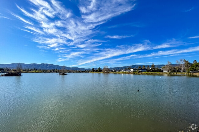 Campbell residents can also visit Oka Ponds to bird watch and relax along the waters edge.