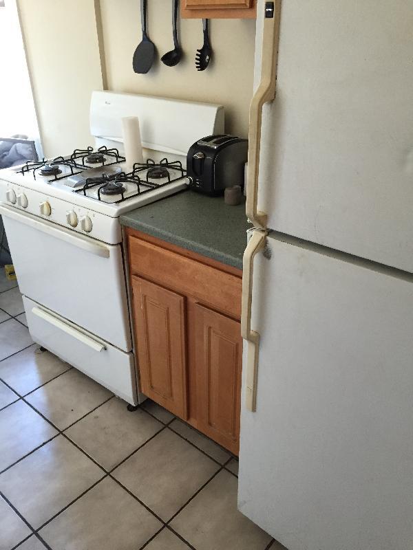 1451 Tremont St unit 3, Roxbury Crossing, MA 02120 - photo 2