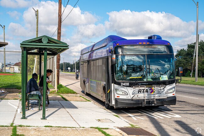 Public transportation is an option throughout Hollygrove.
