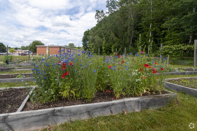 Middle School at Parkside in Manchester has a community garden