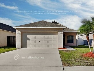 11336 Ivy Flower Loop, Riverview, FL 33578