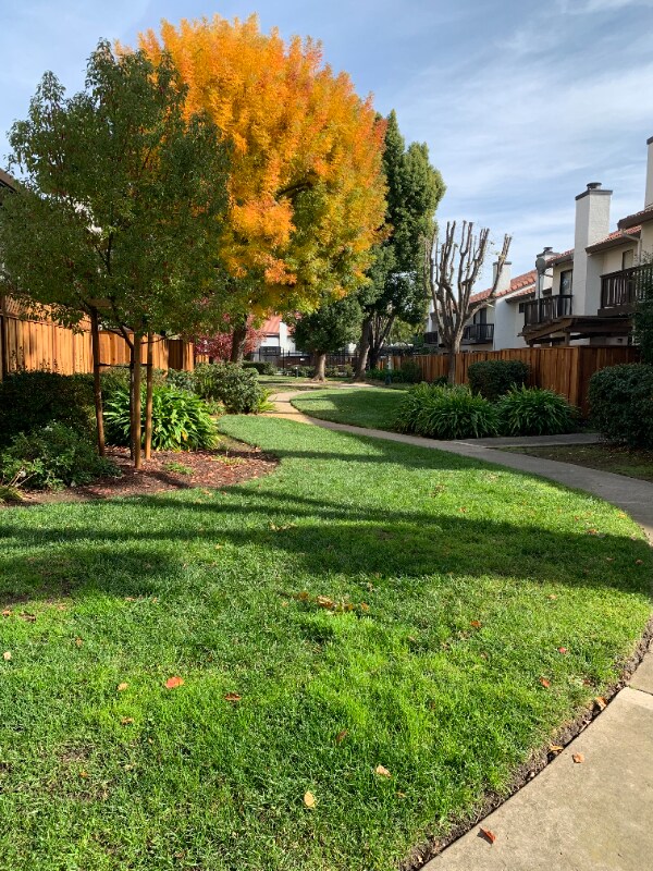 771 Williamsburg Way, Gilroy, CA 95020