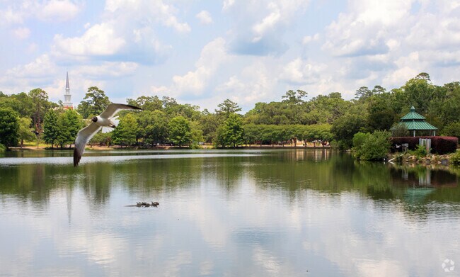 Lake Ella is just outside of Levy Park and is full of wildlife such as birds and turtles.