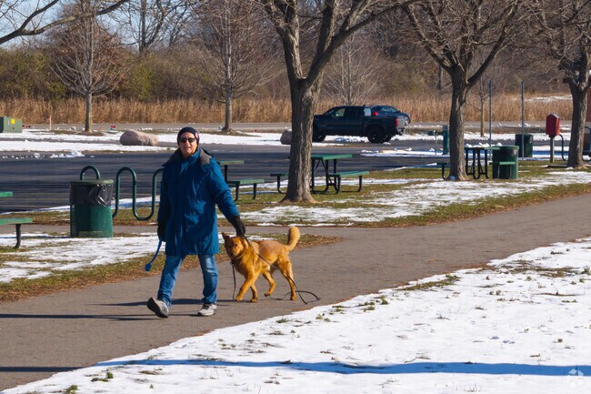 Enjoy a sunny day at Three Springs Park with your furry friend by your side.