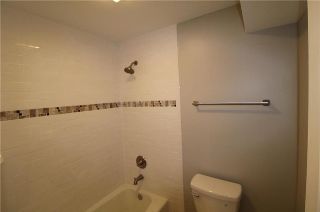 Toilet and shower area