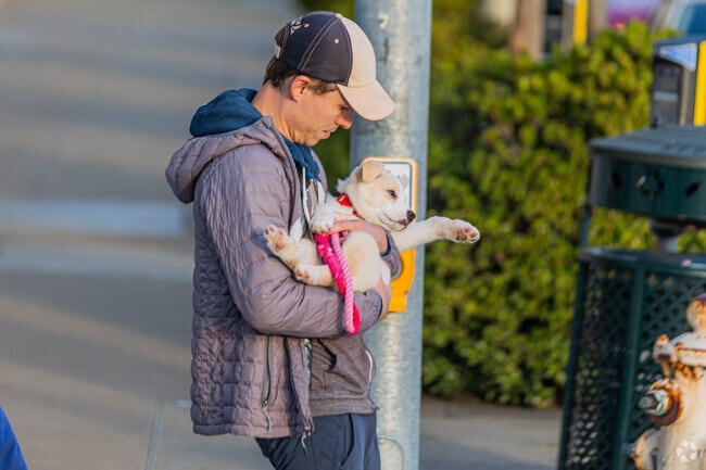 Walkability is accessible for everyone in the Jordan Park/Laurel Heights neighborhood.