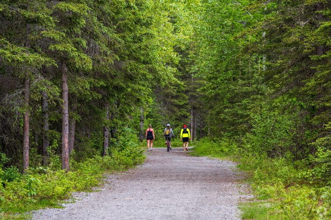 Hikers love the miles of trail at Far North Bicentennial Park near Campbell Park.