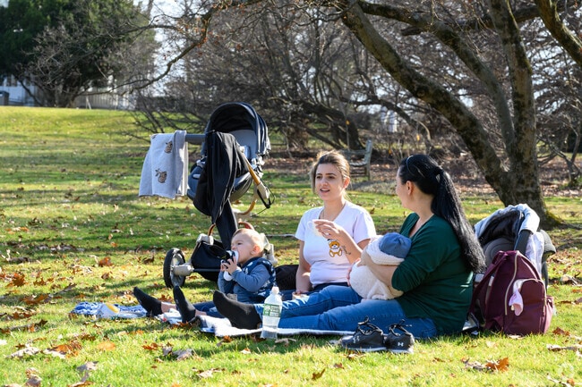 The Frelinghuysen Arboretum provides ample space for a picnic.