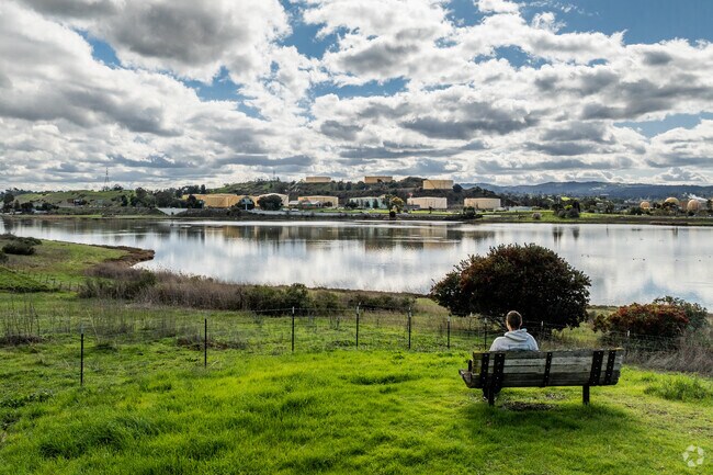 Waterbird Regional Preserve is the perfect place to enjoy the great outdoors in Vine Hill.