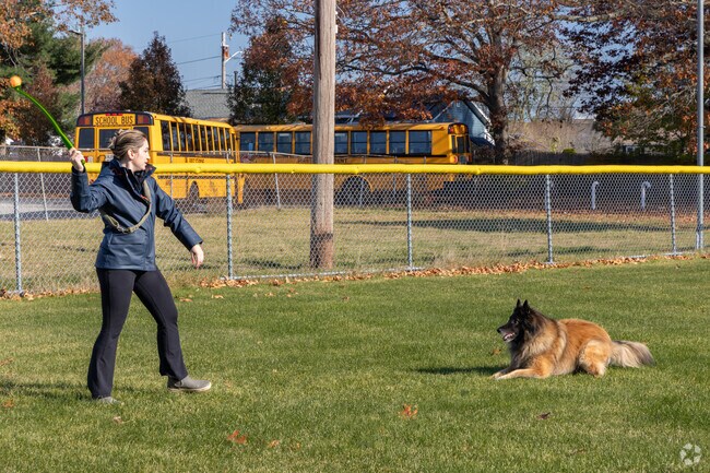 Play a game of fetch at Boyd Field behind the Warwick Public Library.