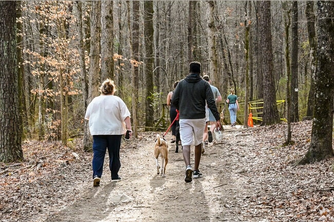 Red Mountain Park, dog walking trail.