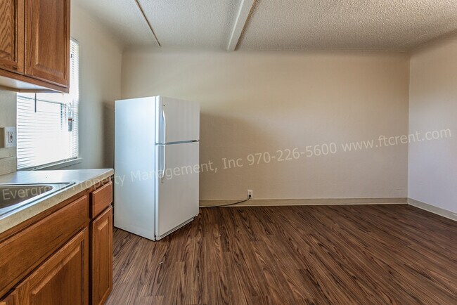 161 S Lincoln Ave unit 6, Loveland, CO 80537 - photo 2