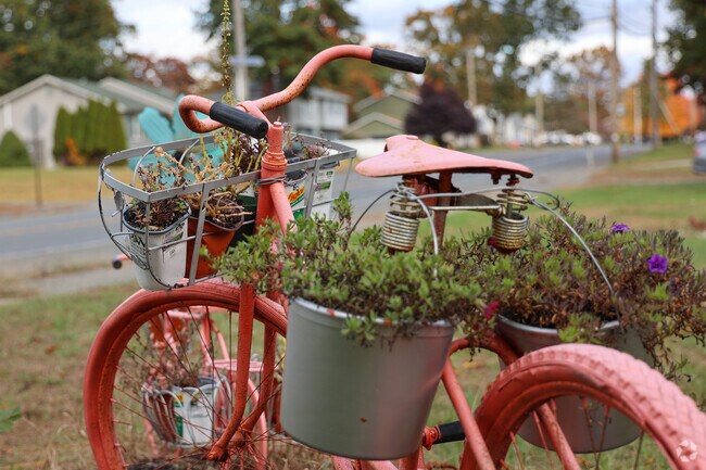 Bicycle planters grace gardens in Chicopee's Burnett Road neighborhood.