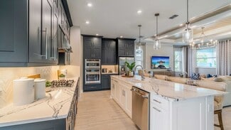 420 Douglas Hill, Lady Lake, FL 32159