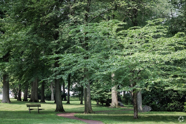 Tree covered benches await strollers at Roosevelt Common in Tenafly, NJ.