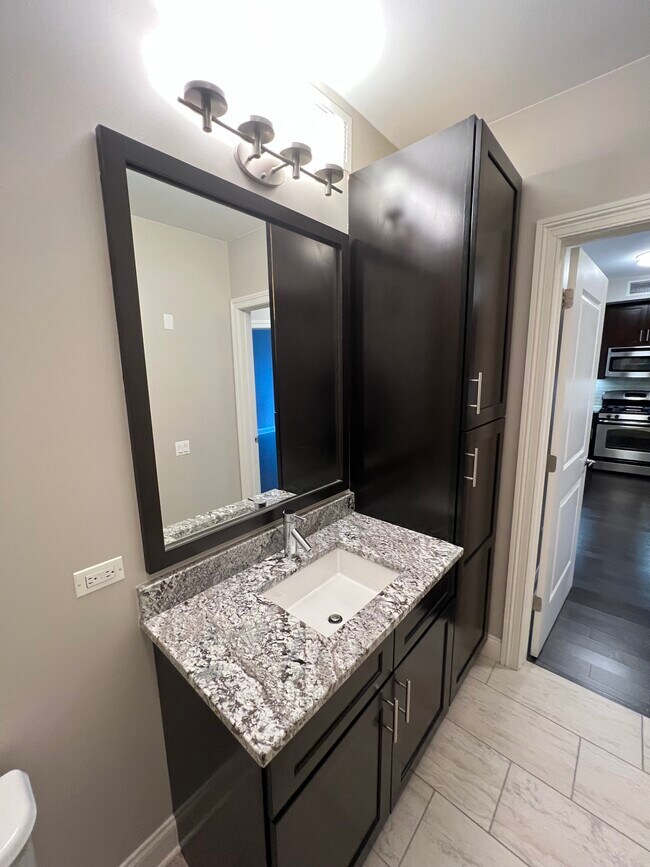 68 W Hubbard St unit 4706, Chicago, IL 60654 - photo 7
