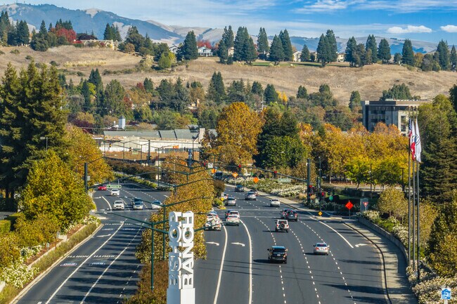 Bollinger Canyon Road is a bustling corridor with shops, parks, and scenic beauty.